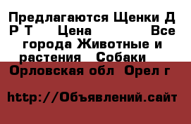 Предлагаются Щенки Д.Р.Т.  › Цена ­ 15 000 - Все города Животные и растения » Собаки   . Орловская обл.,Орел г.